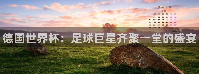 欧洲世界杯预选赛:德国世界杯:足球巨星齐聚一堂的盛宴