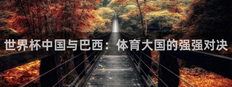 西超杯直播:世界杯中国与巴西:体育大国的强强对决