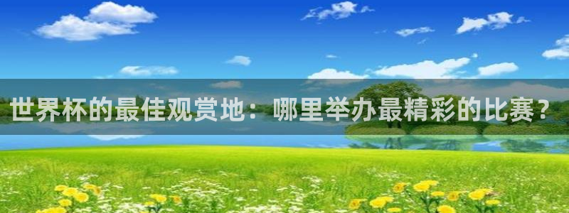 世界杯在线直播入口:世界杯的最佳观赏地:哪里举办最精彩的比赛?