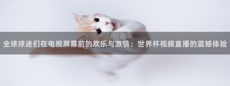世界杯2026比赛时间表:全球球迷们在电视屏幕前的欢乐与激情:世界杯视频直播的震撼体验