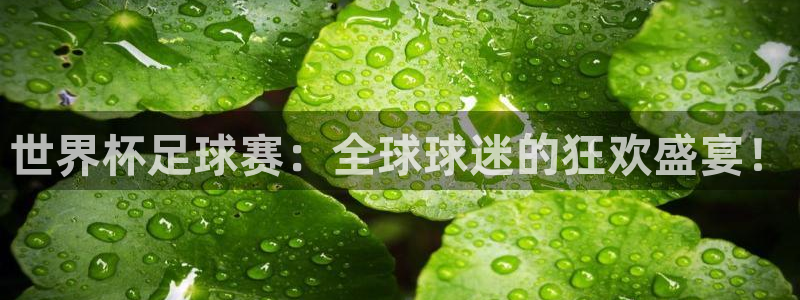 2006世界杯:世界杯足球赛:全球球迷的狂欢盛宴!