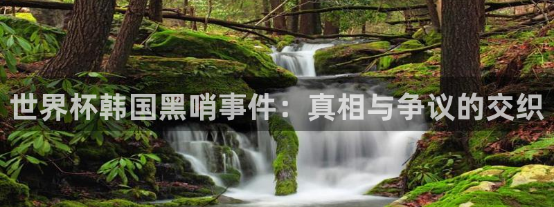 世界杯预选赛赛程:世界杯韩国黑哨事件:真相与争议的交织