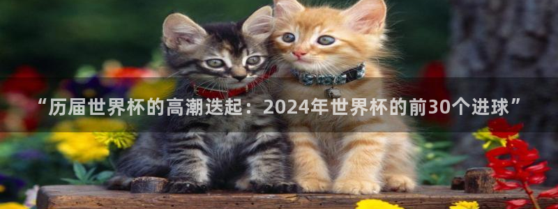 世预赛直播:“历届世界杯的高潮迭起:2024年世界杯的前30个进球”