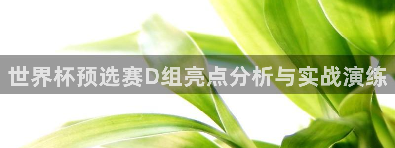 世界杯预赛赛程:世界杯预选赛D组亮点分析与实战演练