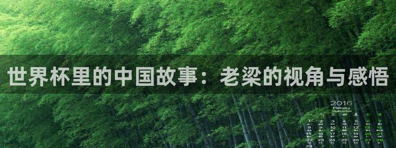 2026年世界杯时间表:世界杯里的中国故事:老梁的视角与感悟